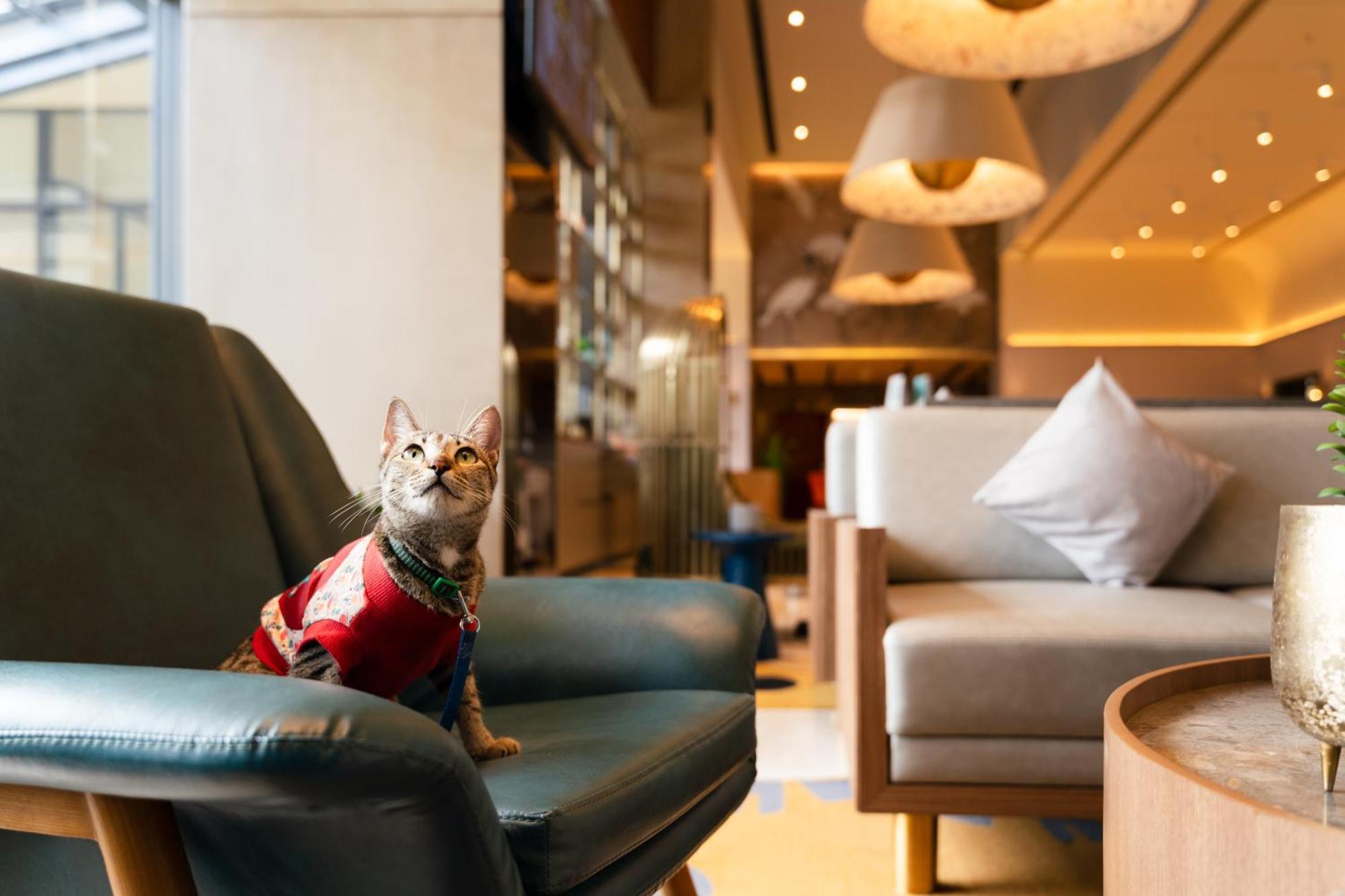 Ibis Styles Mysuru Hotel Bagian luar foto